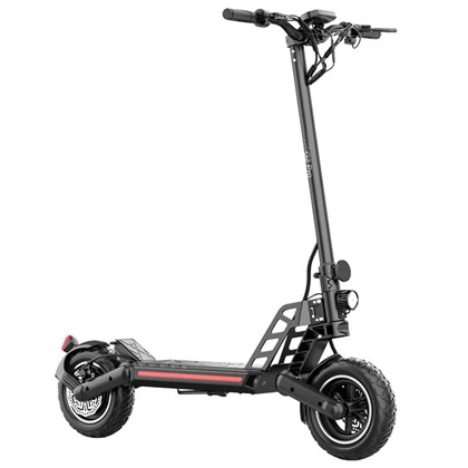 1000W Electric Moped for Adults