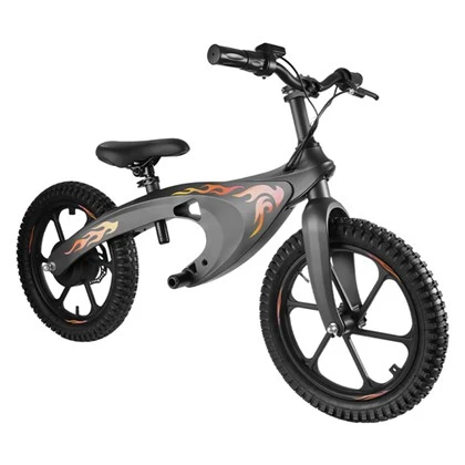 350W Electric Bike for Teenager