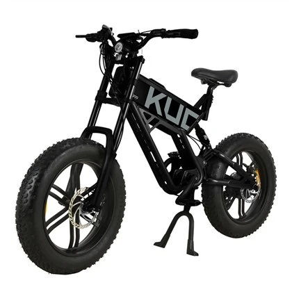 Aluminum Adult Electric Bike